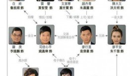 拆局专家在线观看粤语,揭秘破解之道